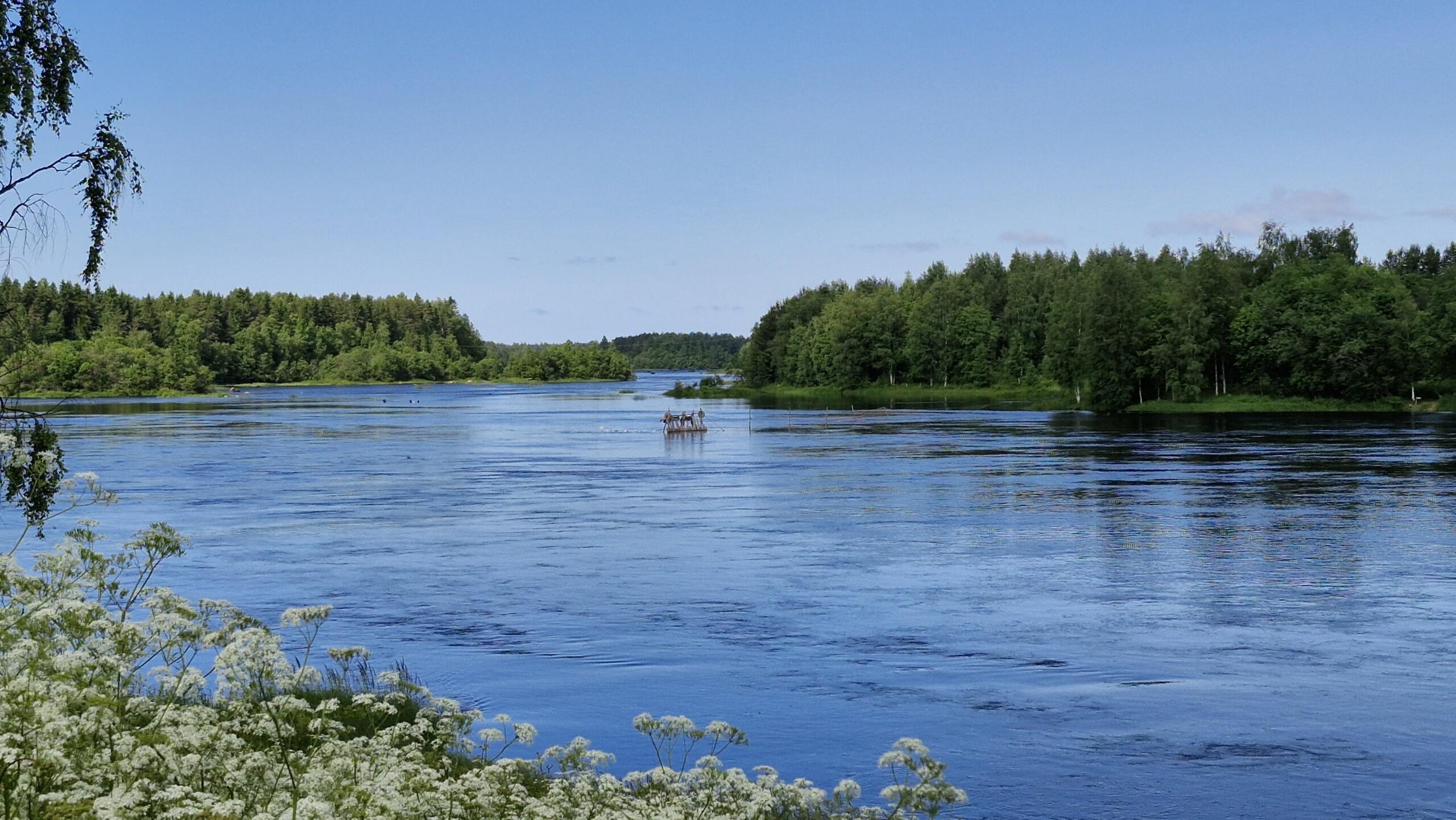 Hallittu liiketoiminta tekee pienestä energiayhtiöstä suuren  